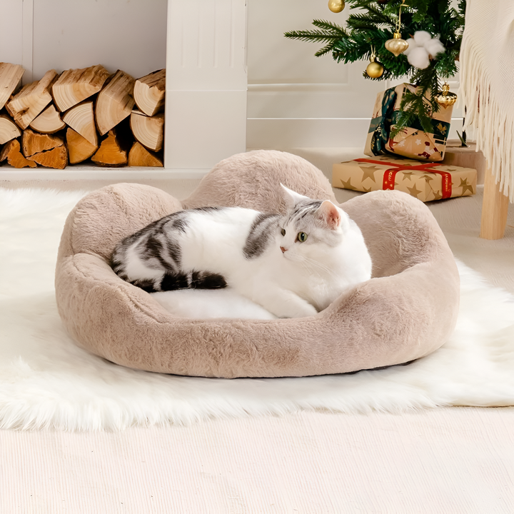 Rest, Relax, Repeat — Why Pet Beds Matter