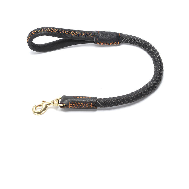 Leather Medium And Large Anti-breakaway Leash