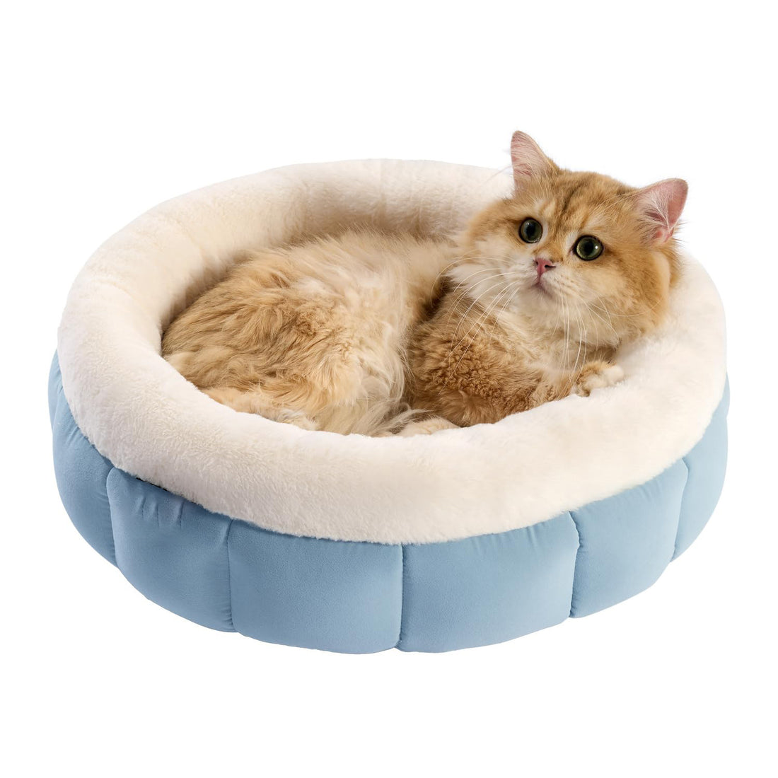 Donut Pet Bed For Small cats