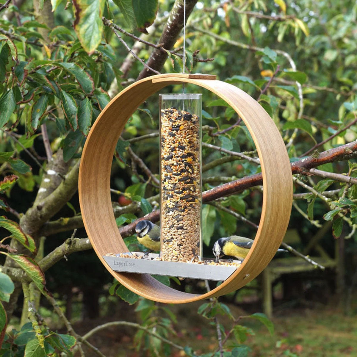 Simple Hanging Bird Feeder Supplies