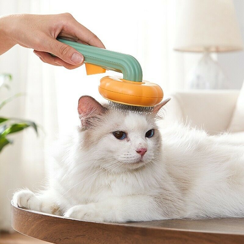 Pet Pumpkin Grooming Slicker Brush