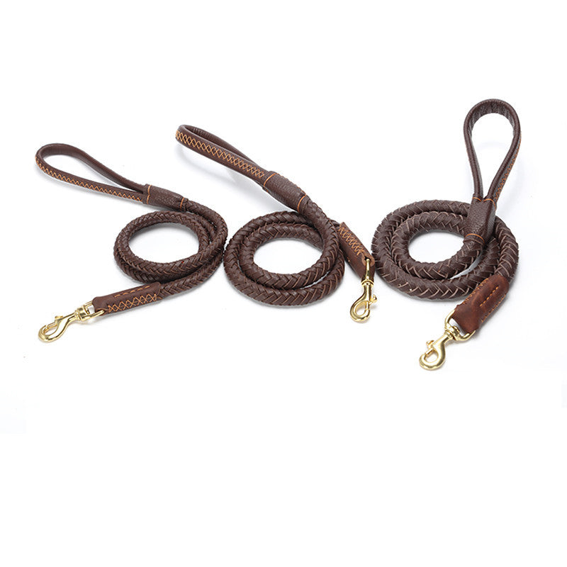 Leather Medium And Large Anti-breakaway Leash