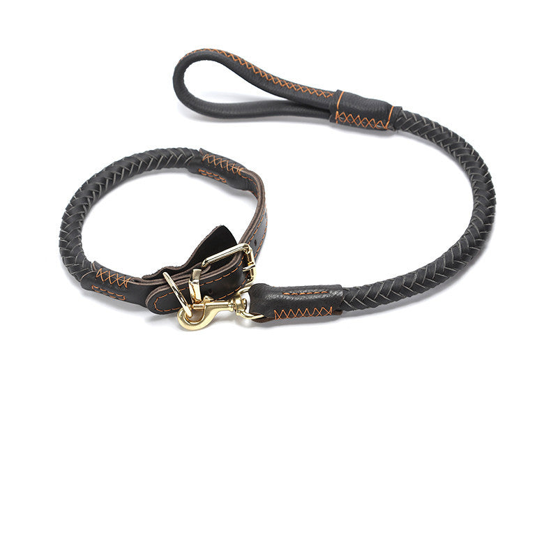 Leather Medium And Large Anti-breakaway Leash