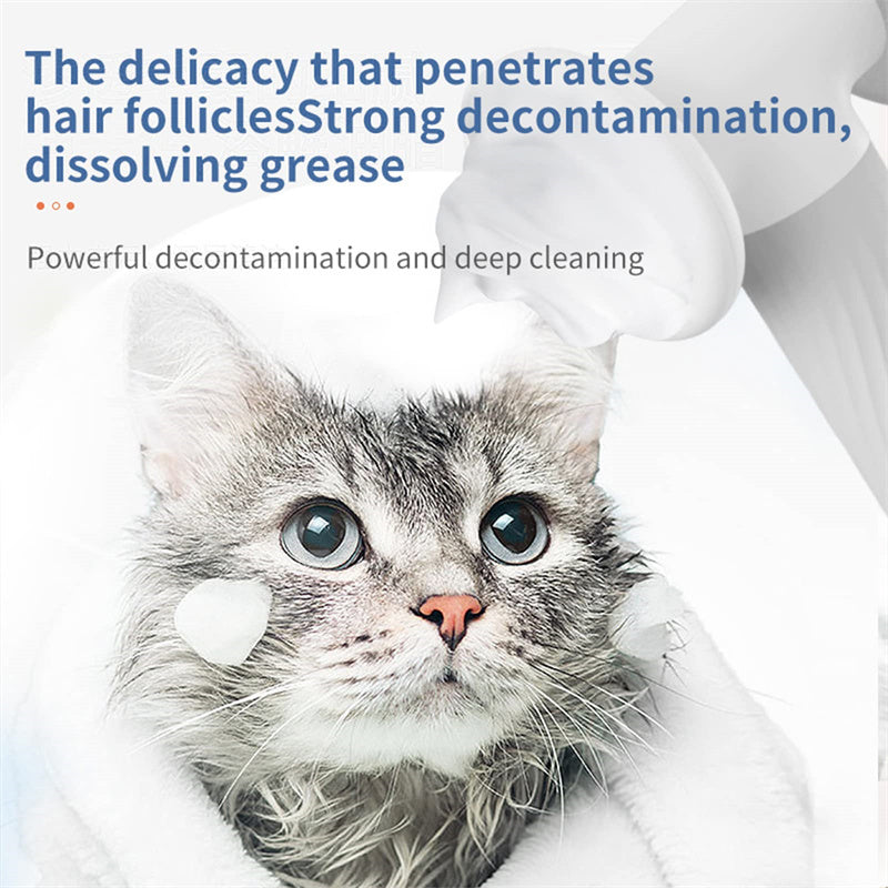 Automatic Foaming Brush With Soap Dispenser