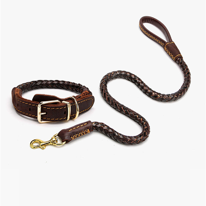 Leather Medium And Large Anti-breakaway Leash
