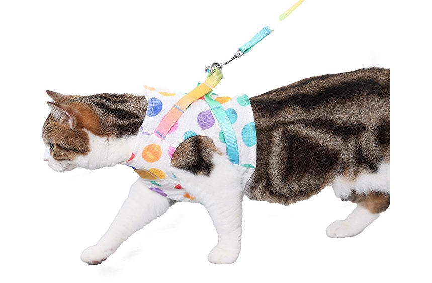 Pet Medium Sized Chested Leash