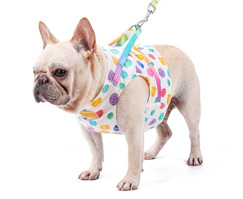 Pet Medium Sized Chested Leash