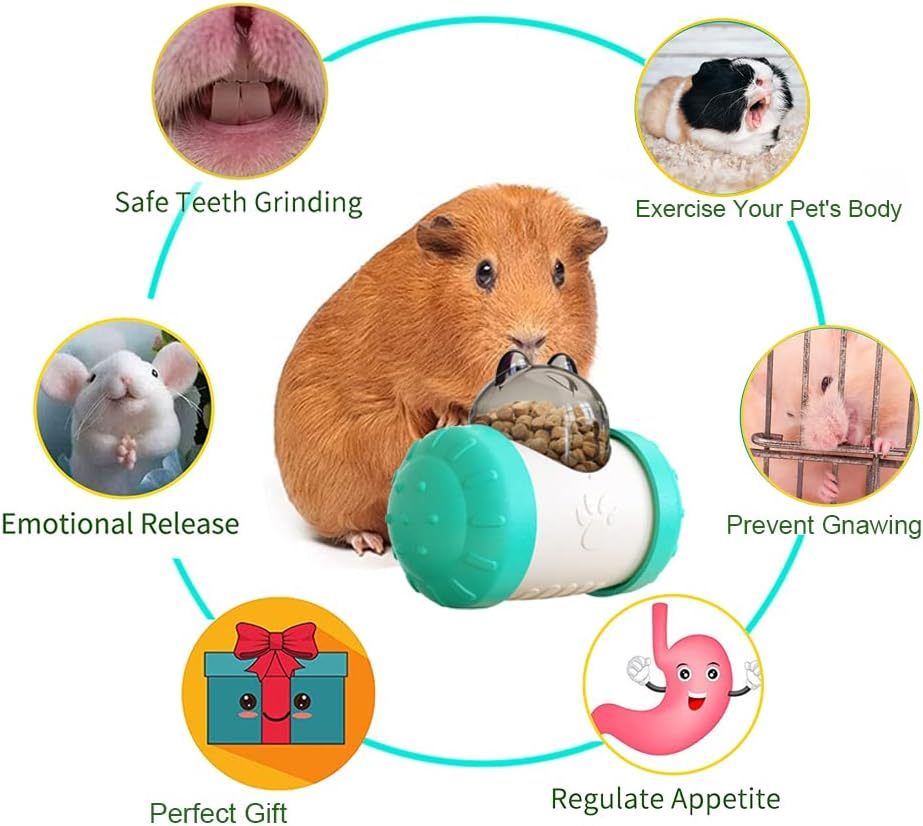 Interactive Dog Toys