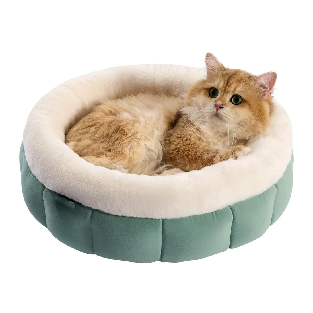 Donut Pet Bed For Small cats