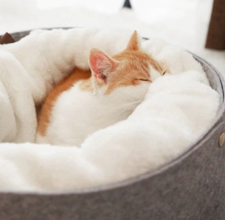 Comfortable Plush Pet Bed