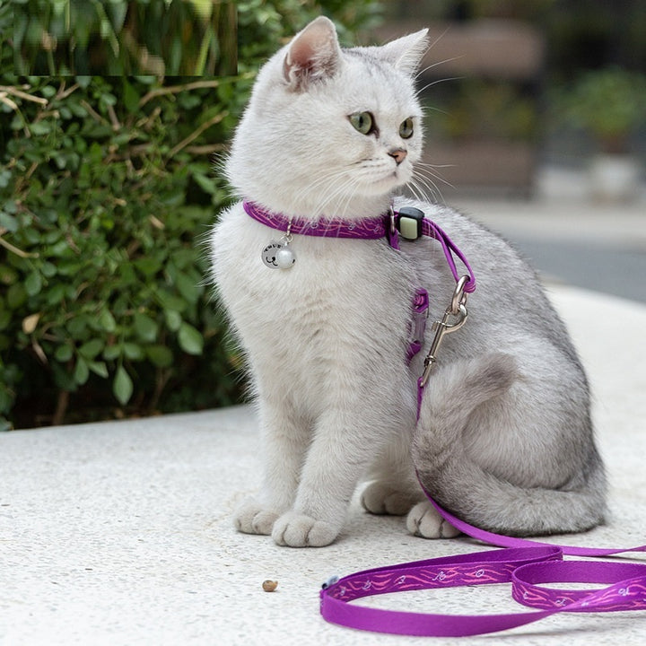 Pet Bell Chest Strap Leash
