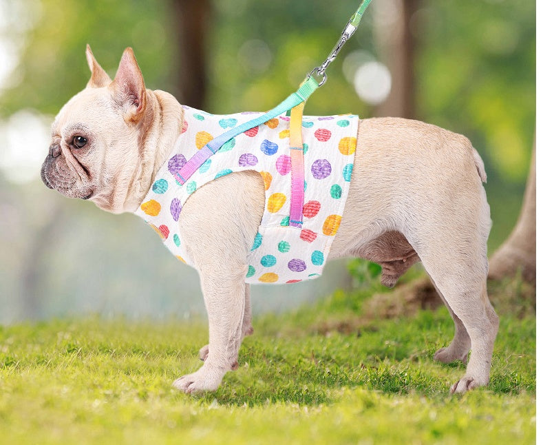 Pet Medium Sized Chested Leash