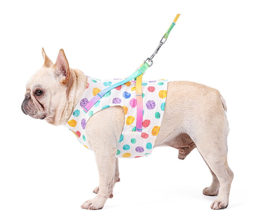 Pet Medium Sized Chested Leash