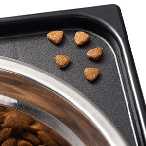 Pet Lifting Neck Protection Feeding Bowl