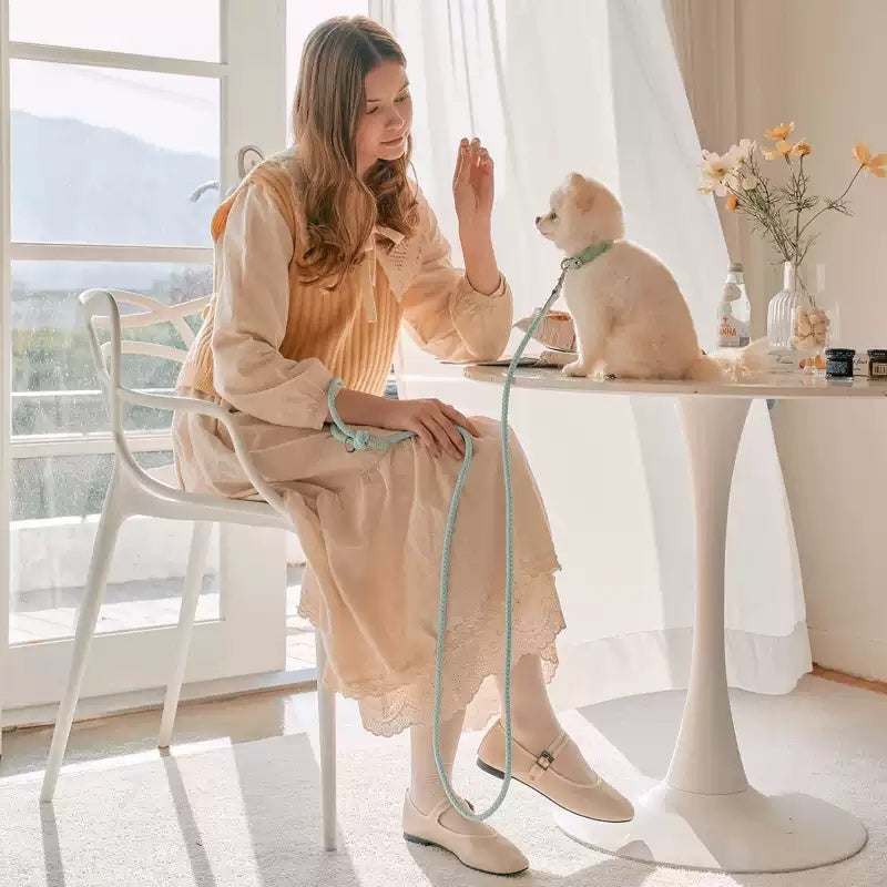 Dog Leather Hand Holding Leash