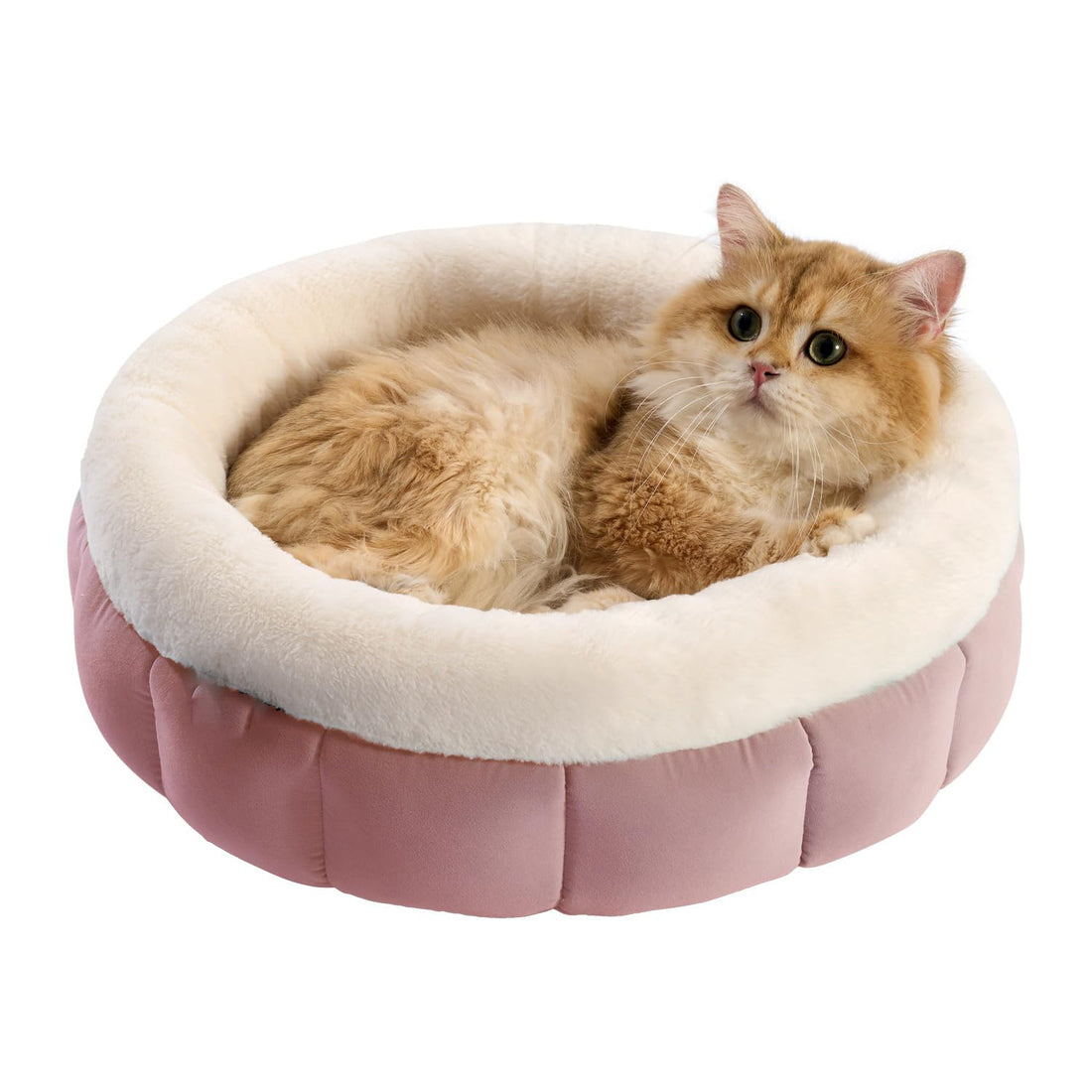 Donut Pet Bed For Small cats