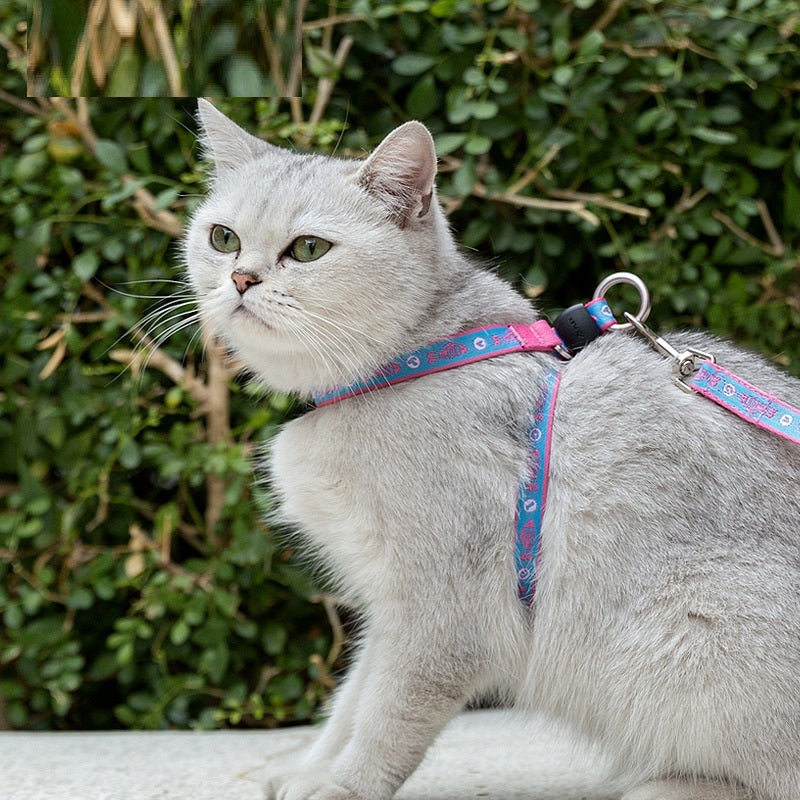 Pet Bell Chest Strap Leash