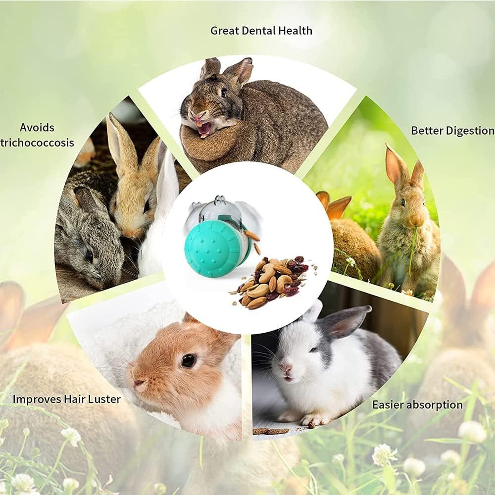 Interactive Dog Toys