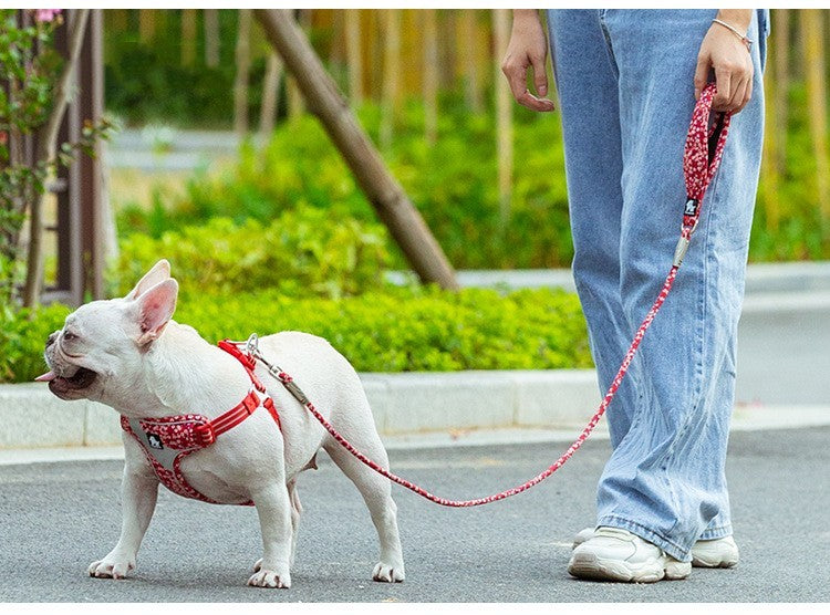 Outdoor Pet Dog Floral Round Hand Holding Leash