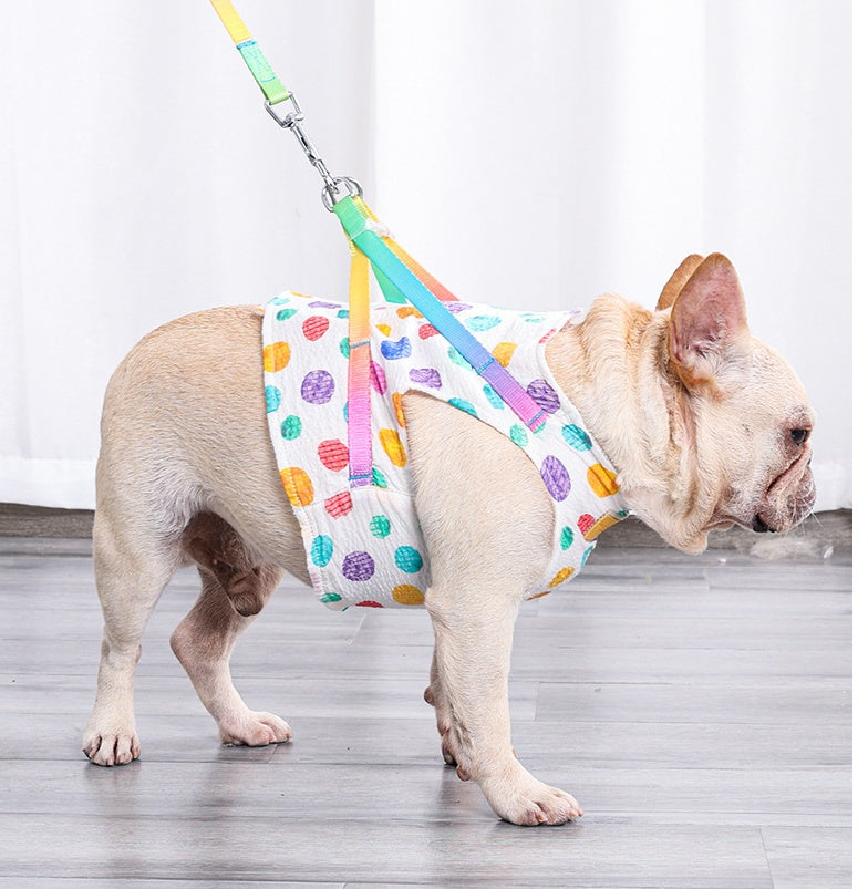 Pet Medium Sized Chested Leash