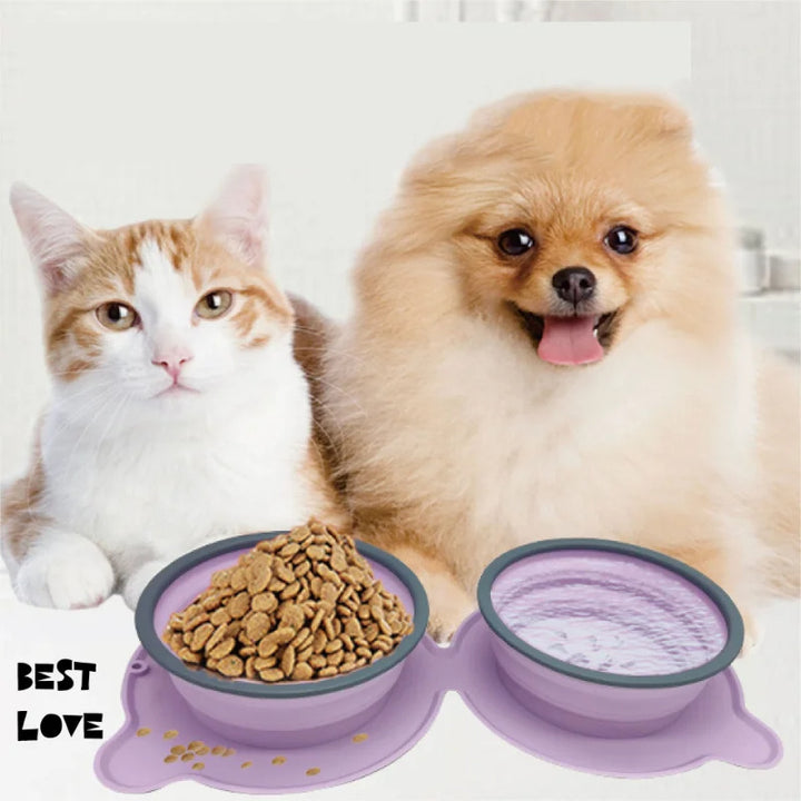 Portable Silicone Double Pet Food Bowls