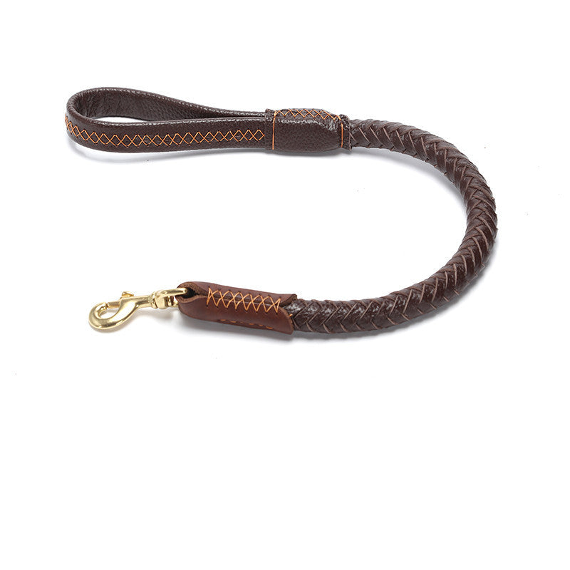 Leather Medium And Large Anti-breakaway Leash