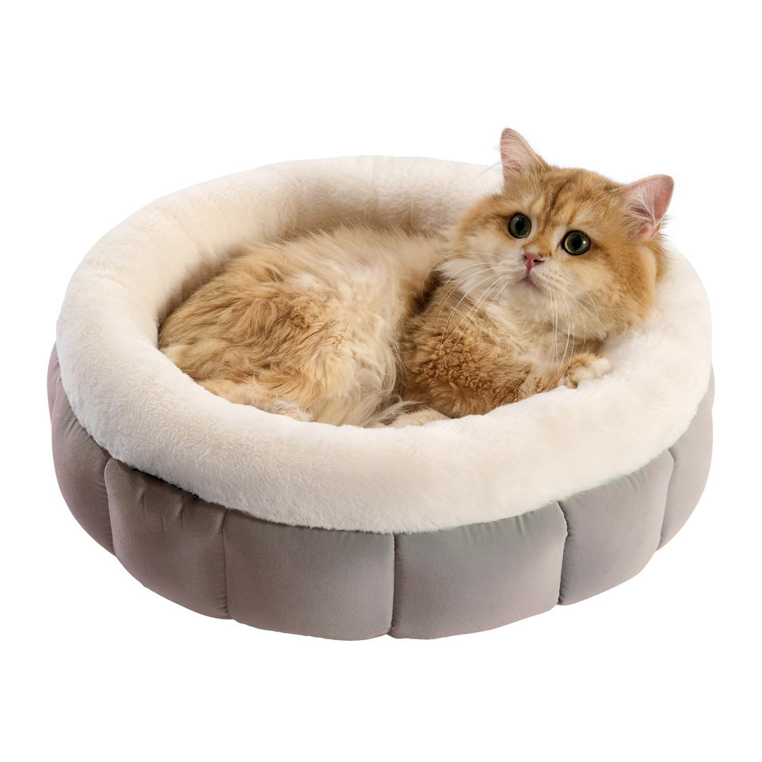 Donut Pet Bed For Small cats