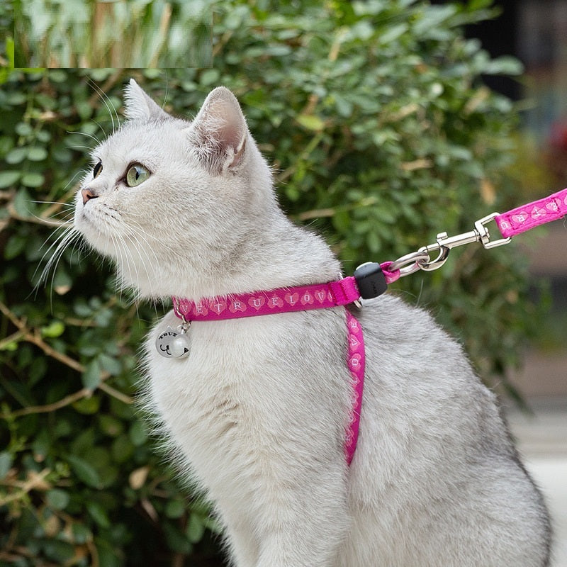 Pet Bell Chest Strap Leash